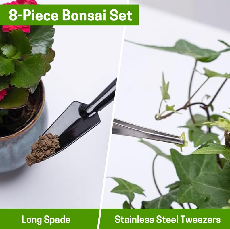 ZELARMAN Bonsai Set 8 Pcs - Include Pruner, Fold Scissors, Mini Rake, Bud & Leaf Trimmer Set by - Image 4